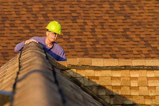 Roof Repair Estimates in Golden Glades, FL