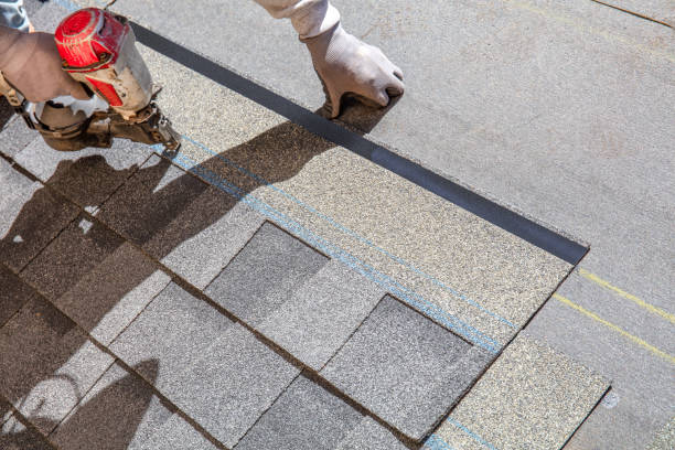 Quick and Trustworthy Emergency Roof Repair Services in Golden Glades, FL